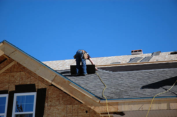 Best Roof Moss and Algae Removal  in Grosse Pointe, MI