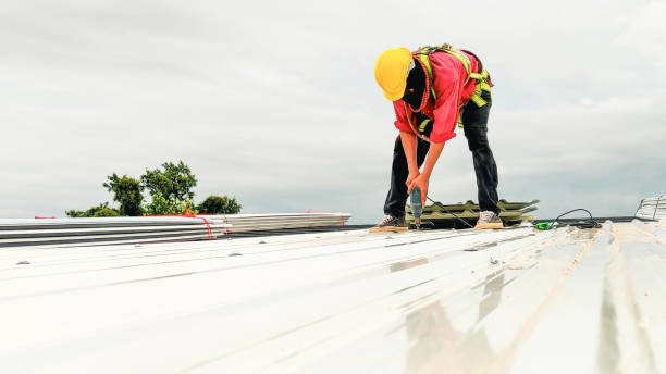 Best Roof Ventilation Installation  in Grosse Pointe, MI