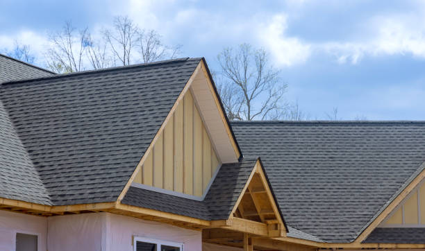 Best Roof Coating and Sealing  in Grosse Pointe, MI